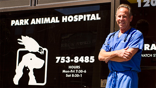 veterinary hospital in sf