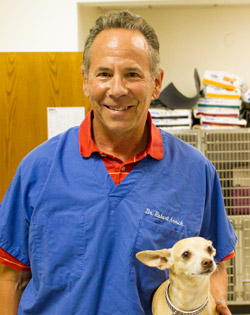 inner sunset, sf veterinarian